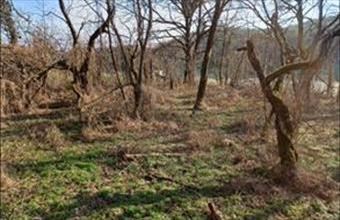 Eladó Pilisszentiváni külterületi telek hirdetés (37947593)