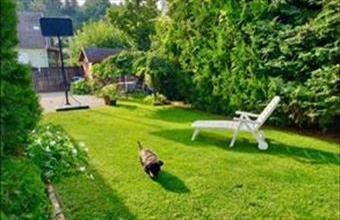 Eladó Pilisjászfalui családi ház hirdetés (75464818)