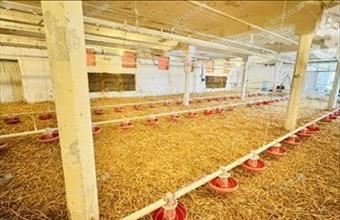 Eladó Kiskunfélegyházai egyéb ipari ingatlan hirdetés (64357943)