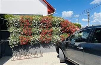 Eladó Látrányi családi ház hirdetés (74539337)