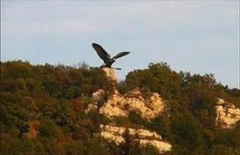 Eladó Tatabányai lakóövezeti telek hirdetés (81134433)