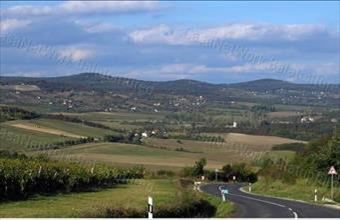 Eladó Vászolyi egyéb mezőgazdasági ingatlan hirdetés (33437377)