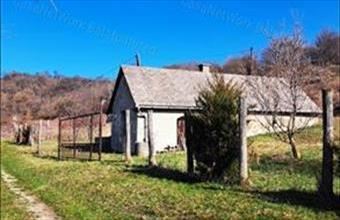 Eladó Balatoncsicsói egyéb mezőgazdasági ingatlan hirdetés (39713743)