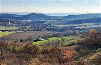 Eladó Pécselyi egyéb mezőgazdasági ingatlan hirdetés (47317235)