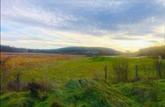 Eladó Balatonszőlősi egyéb mezőgazdasági ingatlan hirdetés (33548585)