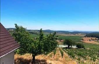 Eladó Balatonszőlősi lakóövezeti telek hirdetés (63993676)