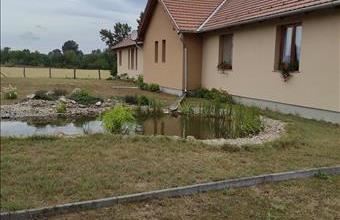 Eladó Tápiószecsői termőföld, szántó hirdetés (12767325)