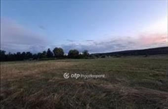 Eladó Demjéni lakóövezeti telek hirdetés (14953933)