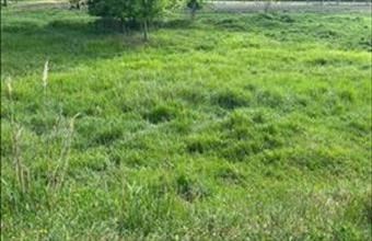 Eladó Törteli lakóövezeti telek hirdetés (45252273)