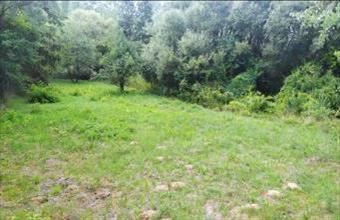 Eladó Kishartyáni lakóövezeti telek hirdetés (38939272)