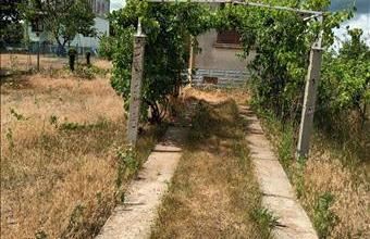 Eladó Jászberényi tanya hirdetés (67471322)