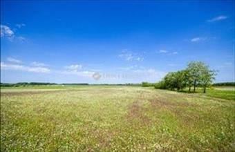 Eladó Inárcsi fejlesztési lakóterület hirdetés (23843739)