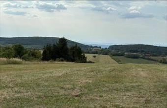 Eladó Mogyoróskai egyéb telek hirdetés (44975959)