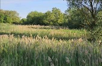 Eladó Rábacsanaki egyéb mezőgazdasági ingatlan hirdetés (78334647)