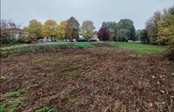 Eladó Zalaszentgróti termőföld, szántó hirdetés (85331576)