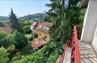 Eladó Solymári családi ház hirdetés (25897494)