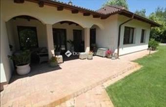 Eladó Kecskeméti családi ház hirdetés (73487799)