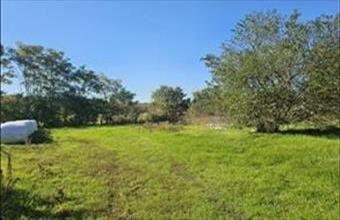 Eladó Konyári egyéb telek hirdetés (95264347)