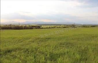 Eladó Fóti egyéb mezőgazdasági ingatlan hirdetés (55572317)