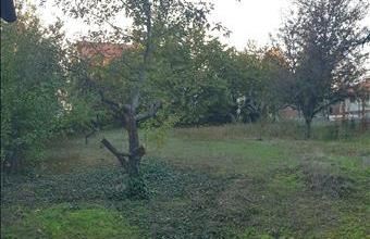 Eladó Paksi egyéb telek hirdetés (74967993)