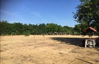 Eladó Paksi egyéb telek hirdetés (73459738)