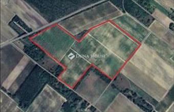 Eladó Orgoványi külterületi telek hirdetés (98863852)