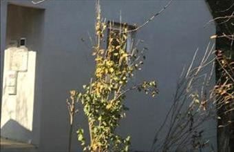 Eladó Paksi családi ház hirdetés (47936335)