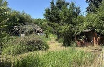 Eladó Szolnoki egyéb mezőgazdasági ingatlan hirdetés (37378413)