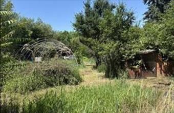 Eladó Szolnoki egyéb mezőgazdasági ingatlan hirdetés (37378413)