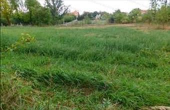 Eladó Látrányi lakóövezeti telek hirdetés (58867942)