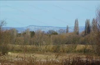 Eladó Látrányi családi ház hirdetés (73322391)