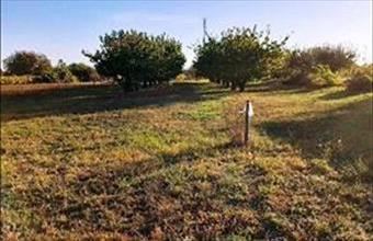 Eladó Balatonboglári lakóövezeti telek hirdetés (93173963)