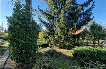 Eladó Balatonboglári lakóövezeti telek hirdetés (59555393)