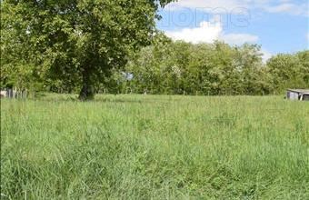 Eladó Felpéci lakóövezeti telek hirdetés (47579976)