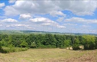 Eladó Zalacsányi lakóövezeti telek hirdetés (91999772)