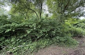 Eladó Balatongyöröki egyéb mezőgazdasági ingatlan hirdetés (17931387)