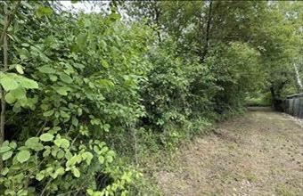 Eladó Balatongyöröki egyéb mezőgazdasági ingatlan hirdetés (17931387)