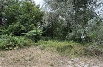 Eladó Balatongyöröki egyéb mezőgazdasági ingatlan hirdetés (21839494)