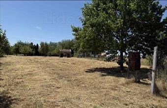 Eladó Felsőpáhoki lakóövezeti telek hirdetés (26525772)