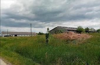 Eladó Zamárdi egyéb mezőgazdasági ingatlan hirdetés (22313823)