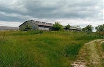 Eladó Zamárdi egyéb mezőgazdasági ingatlan hirdetés (22313823)