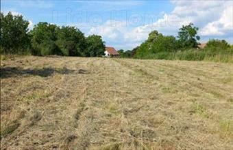 Eladó Balatonszabadi lakóövezeti telek hirdetés (67696993)