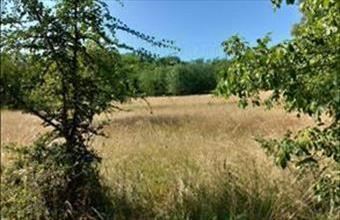 Eladó Siófoki egyéb mezőgazdasági ingatlan hirdetés (27667339)