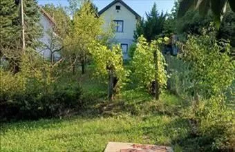 Eladó Pilisvörösvári családi ház hirdetés (87479622)