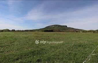 Eladó Badacsonytomaji egyéb mezőgazdasági ingatlan hirdetés (46346447)