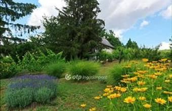 Eladó Sümegi hétvégi ház hirdetés (36338796)