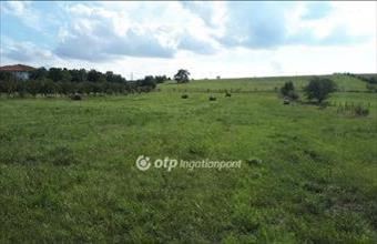 Eladó Törökbálinti egyéb mezőgazdasági ingatlan hirdetés (35384392)