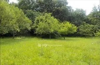 Eladó Kaposvári külterületi telek hirdetés (42234243)