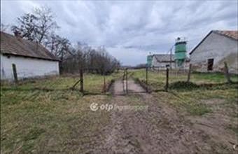 Eladó Mezőfalvai telephely hirdetés (15348544)