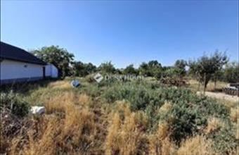 Eladó Berettyóújfalui családi ház hirdetés (77984574)